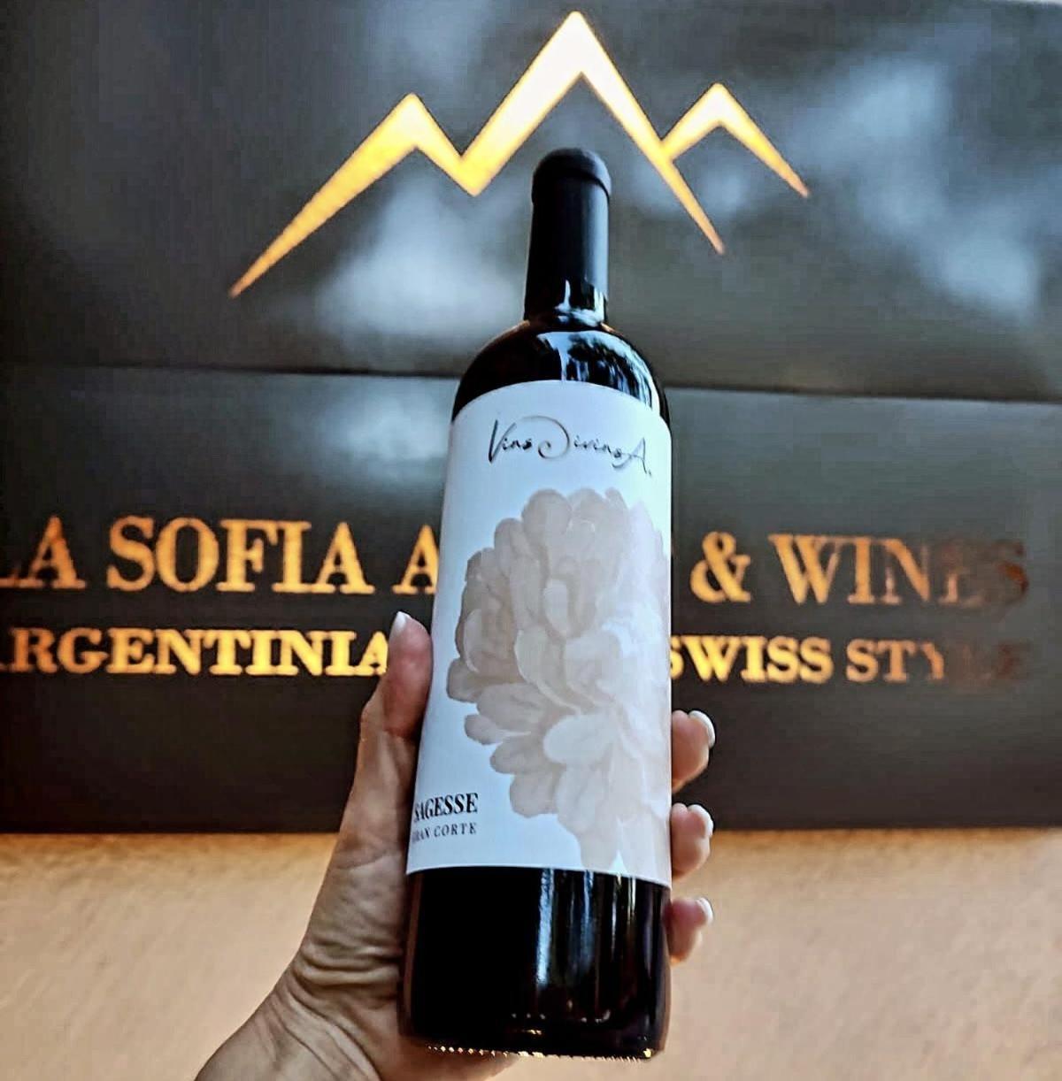 La Sofia Apart & Wines 门多萨 外观 照片