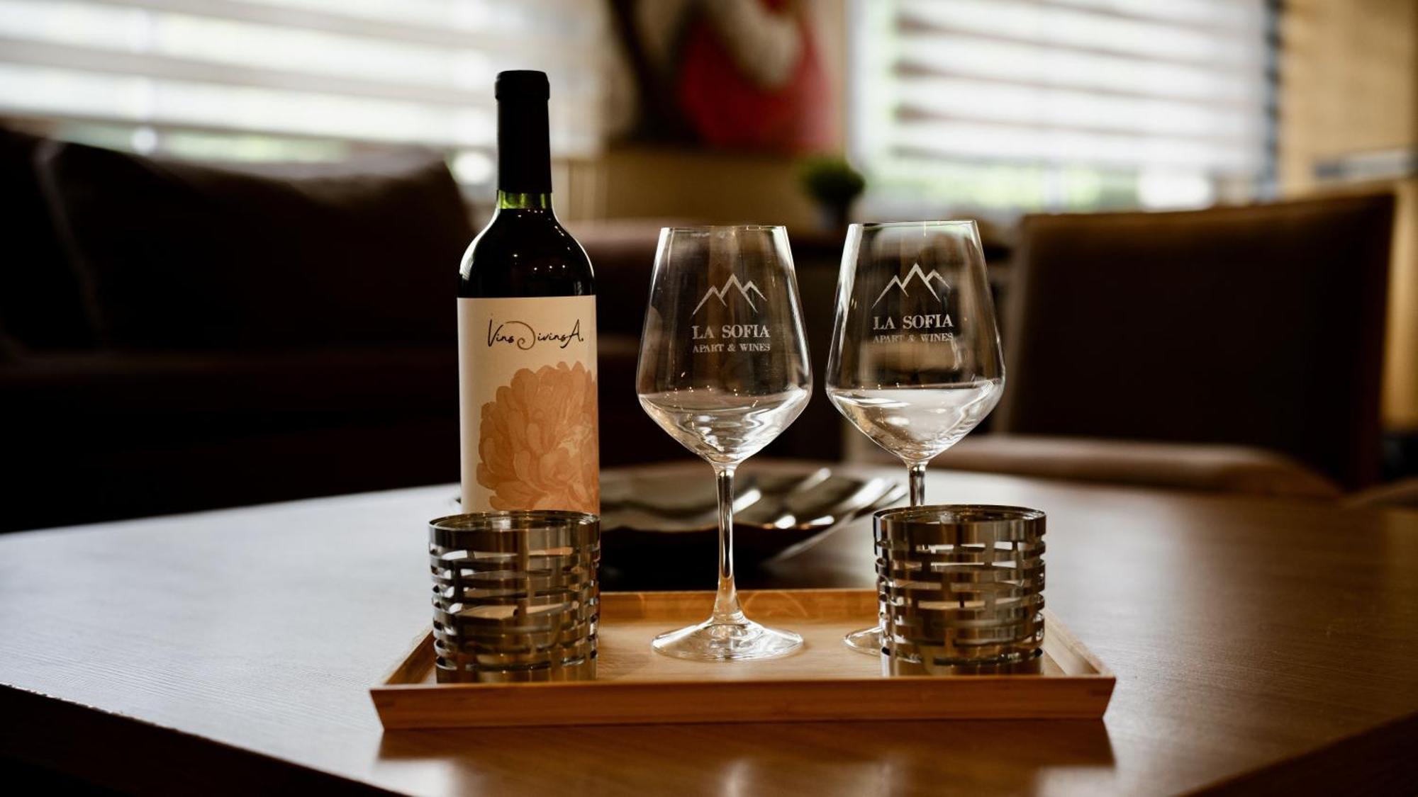 La Sofia Apart & Wines 门多萨 外观 照片