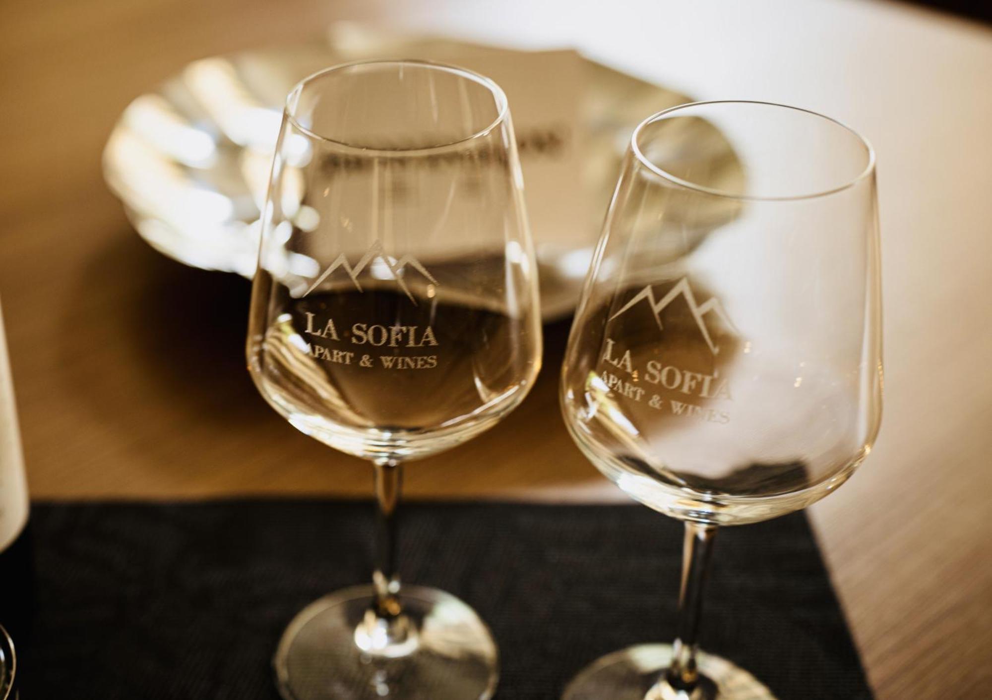 La Sofia Apart & Wines 门多萨 外观 照片
